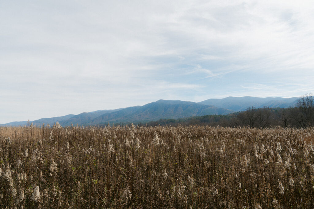Great Smoky Mountains National Park Photography Session