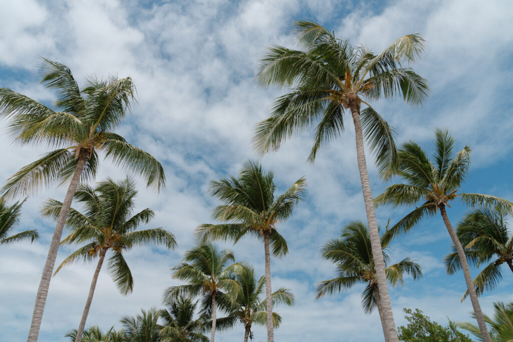 Destination Beach Wedding in Punta Cana