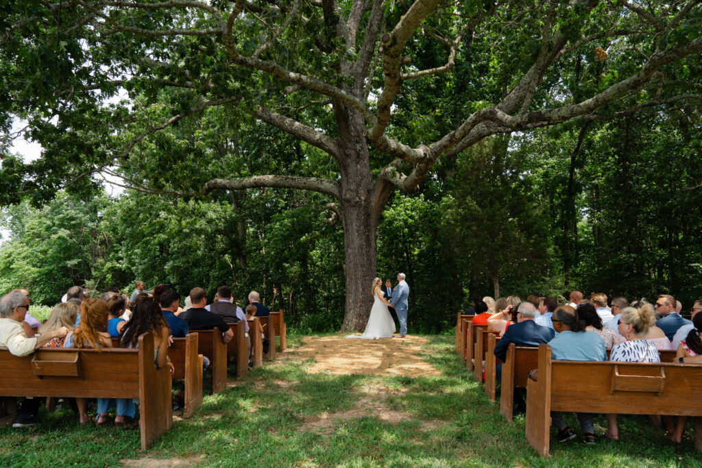 Colorful summer wedding at Heartland Meadows in Knoxville, Tennessee