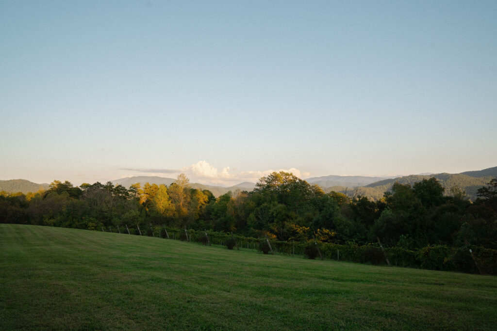 Harper's Vineyard in Townsend, Tennessee
