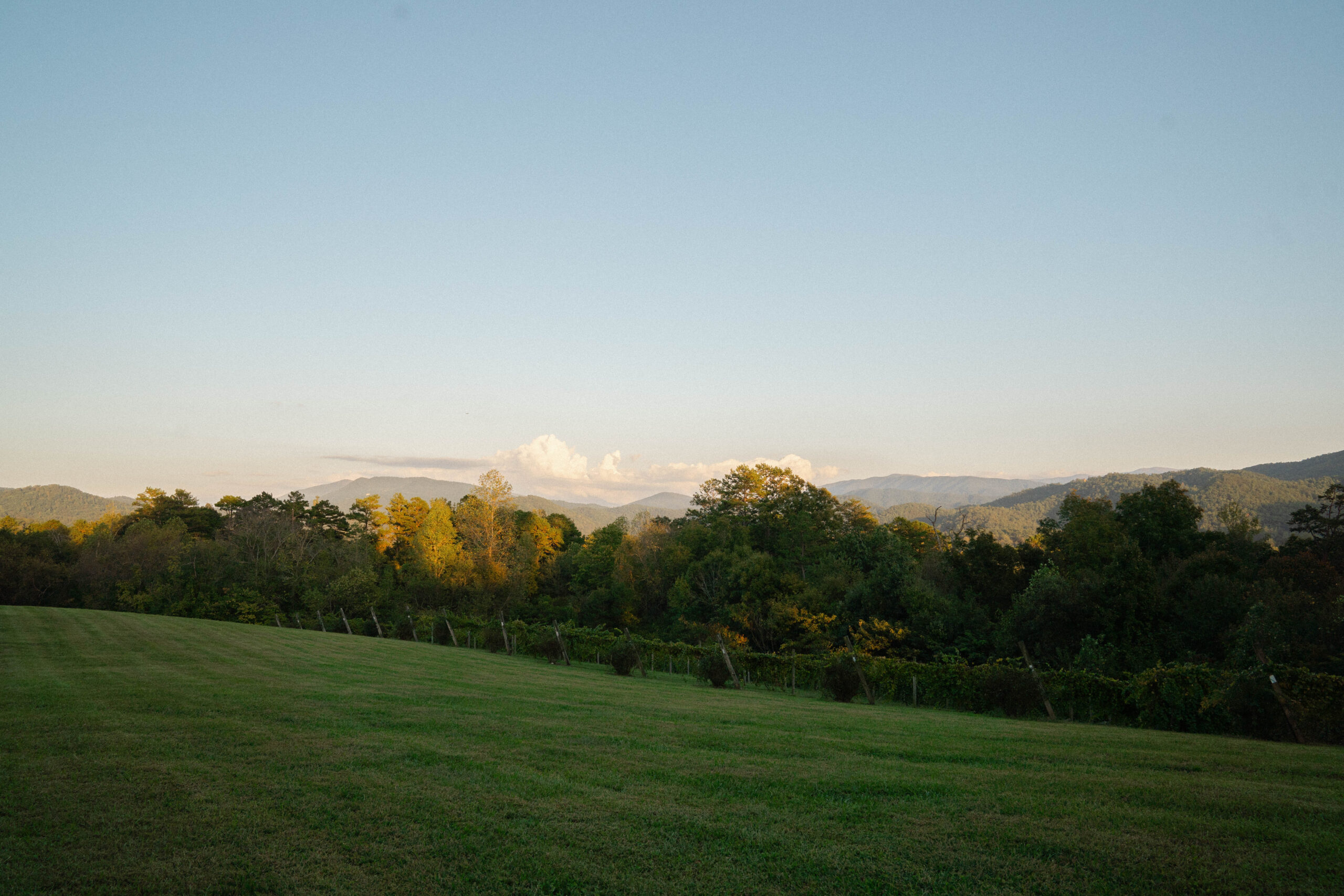Harper's Vineyard in Townsend, Tennessee