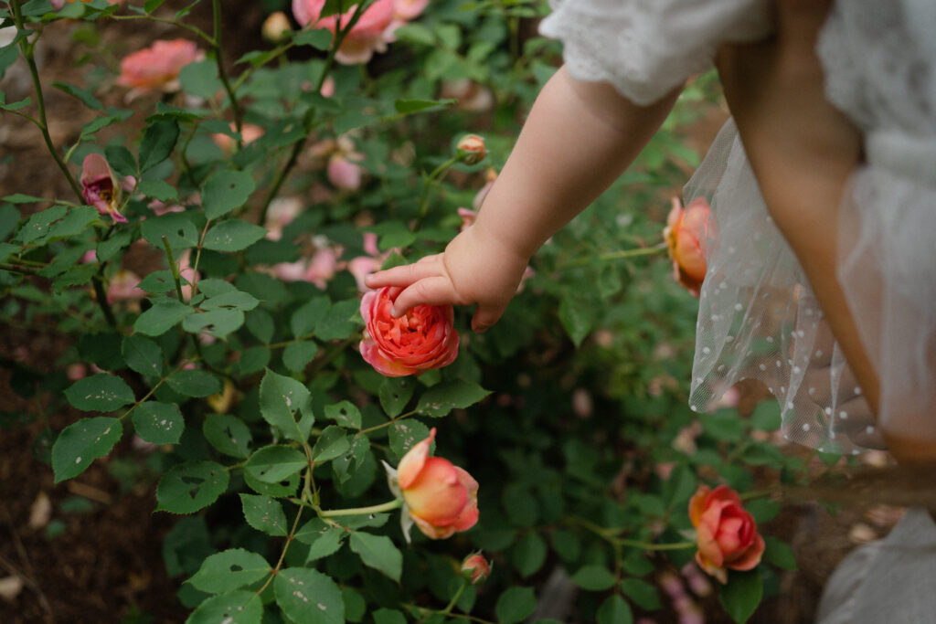 Spring Family Photography Session at Knoxville Botanical Gardens in Knoxville, Tennessee