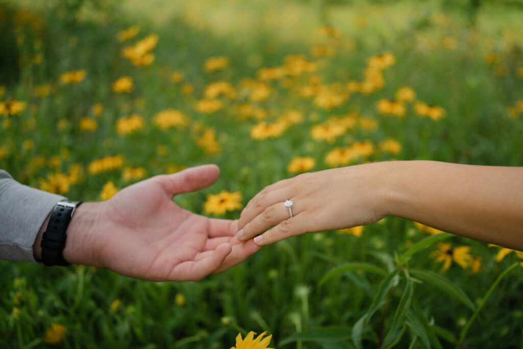 Engagement Session at Cove Lake in Tennessee by Hayley Howard Photography