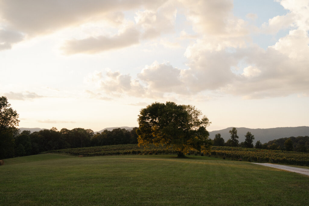 Summer at Spout Springs Winery in Blaine, Tennessee