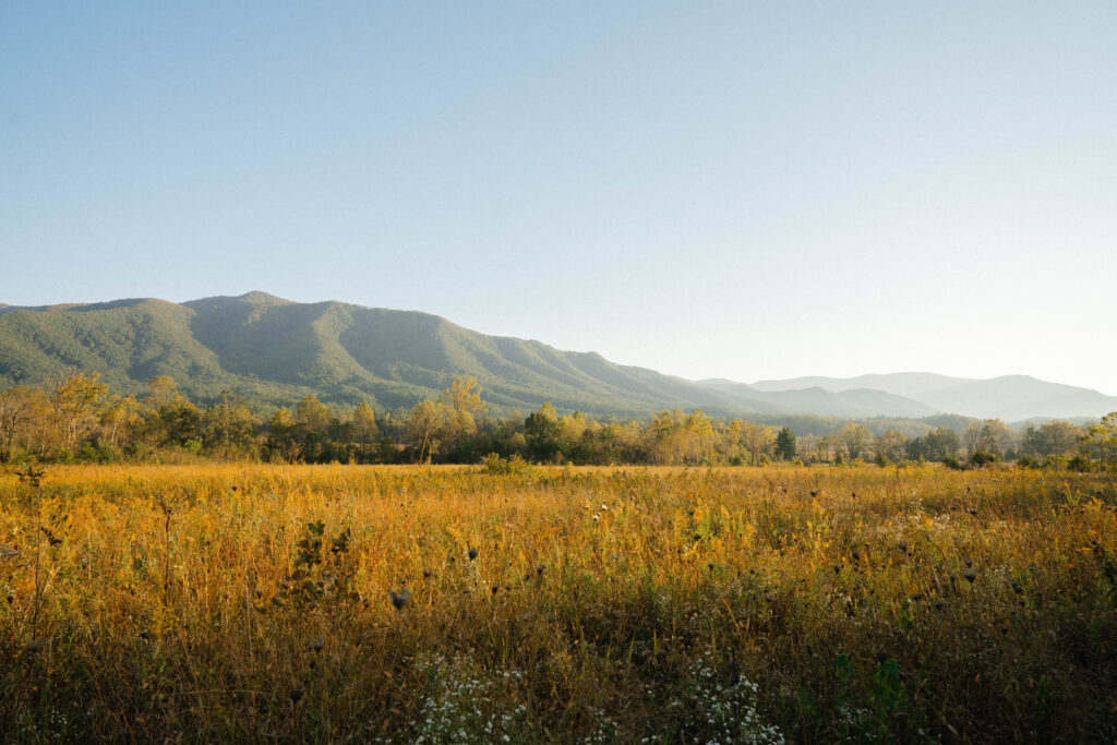 Cades Cove in the Great Smoky Mountains National Park - Captured by Hayley Howard Photography