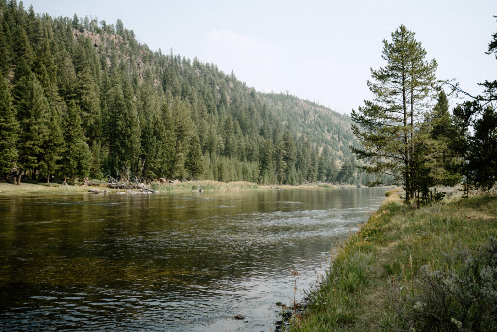 Yellowstone National Park - Captured by Hayley Howard Photography