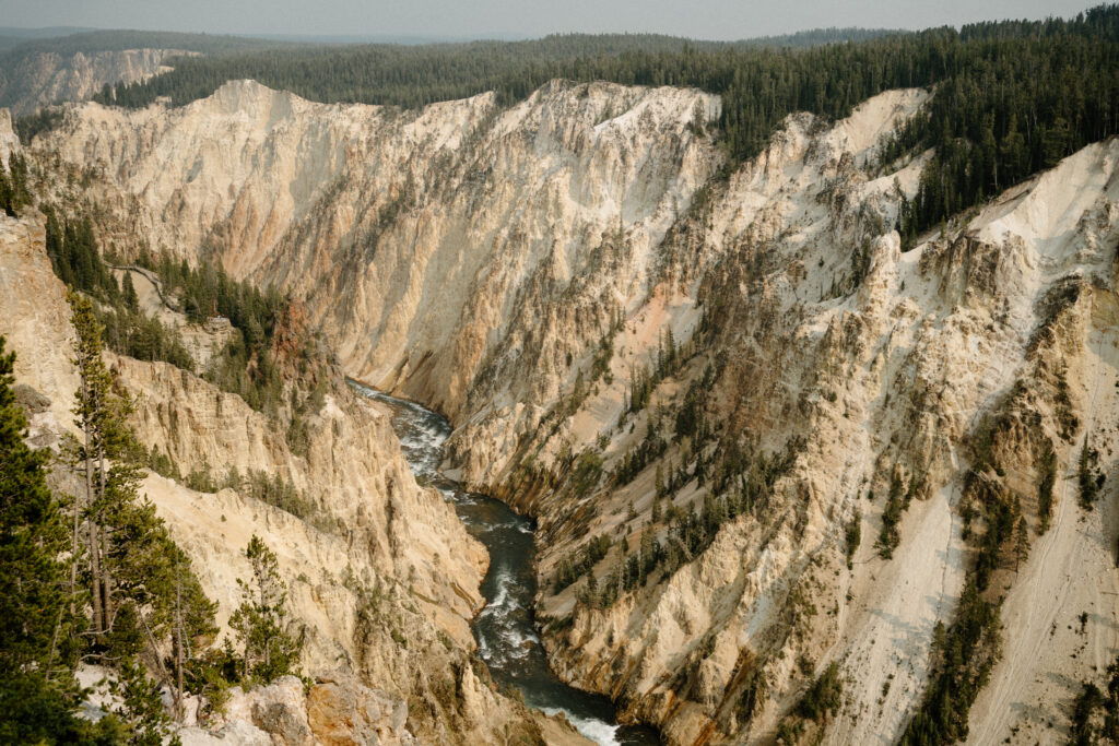 Yellowstone National Park - Captured by Hayley Howard Photography